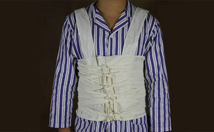 多頭胸帶 多頭胸帶